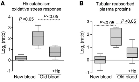 Figure 5Renal tissue proteomic analysis. Quantifications of functional protein 