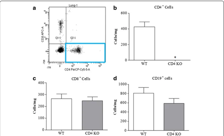 Fig. 1 Characterising the CD4 + −/− mice. a Representative scatter plot of CD4 + and CD8 + cells in the lungs of naive mice and the mean data for total CD4 + T cell numbers in wild type and CD4 + KO mice ( n = 4, expressed at cells/mg of lung tissue) (b)