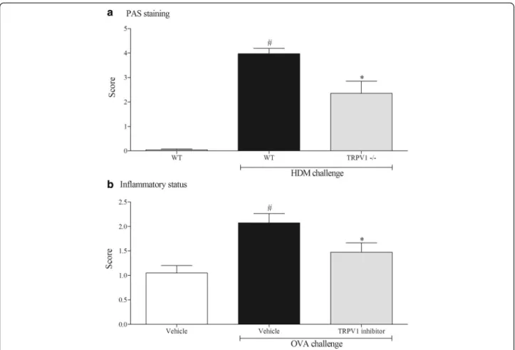 Fig. 6 Role of TRPV1 in the mouse and rat model. Histological assessment of lungs from the mouse and rat models