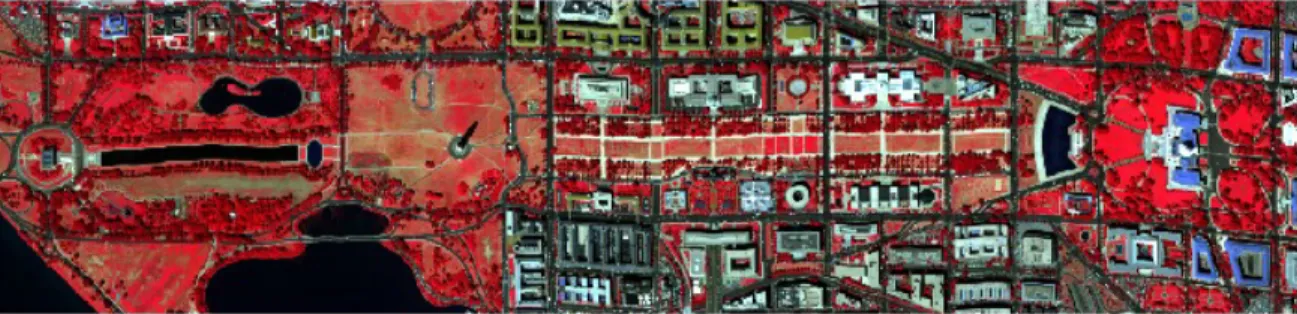 Fig. 9. Pseudo-color image of the HYDICE data on Washington DC Mall.