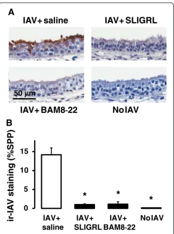 Fig. 8b), consistent with findings obtained from in vivo and ex vivo studies using mice.