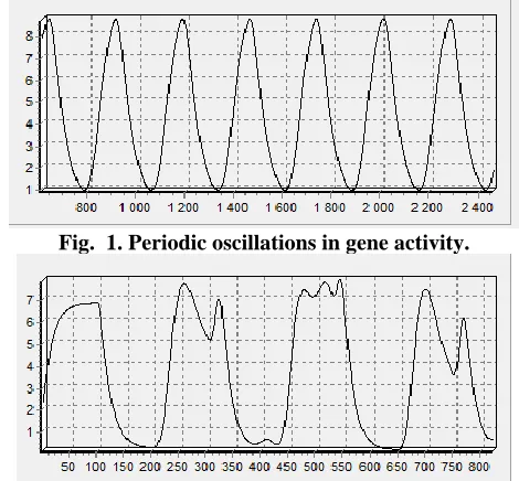 Fig.  1. Periodic oscillations in gene activity. 