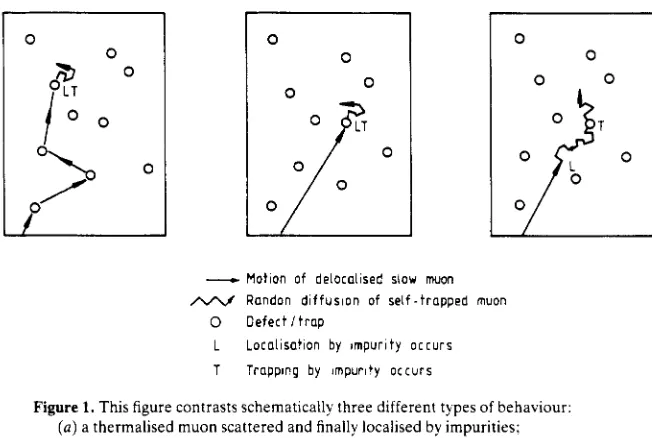 Figure 1. This figure contrasts schematically three different types of behaviour: (a) a thermalised muon scattered and finally localised by impurities; ( b )  here self-trapping occurs at defects without significant thermal diffusion; (c) the ‘standard’ pi
