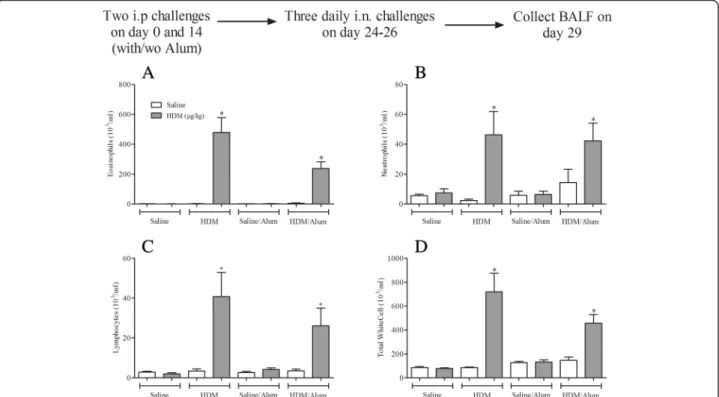 Fig. 5 Effect of HDM sensitisation and challenge on airway responsiveness to inhaled 5-HT
