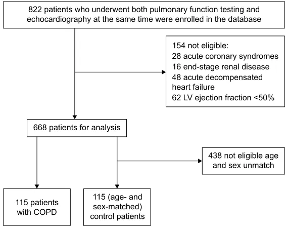 Figure 1 Inclusion criteria for the study population.Abbreviation: lV, left ventricular.