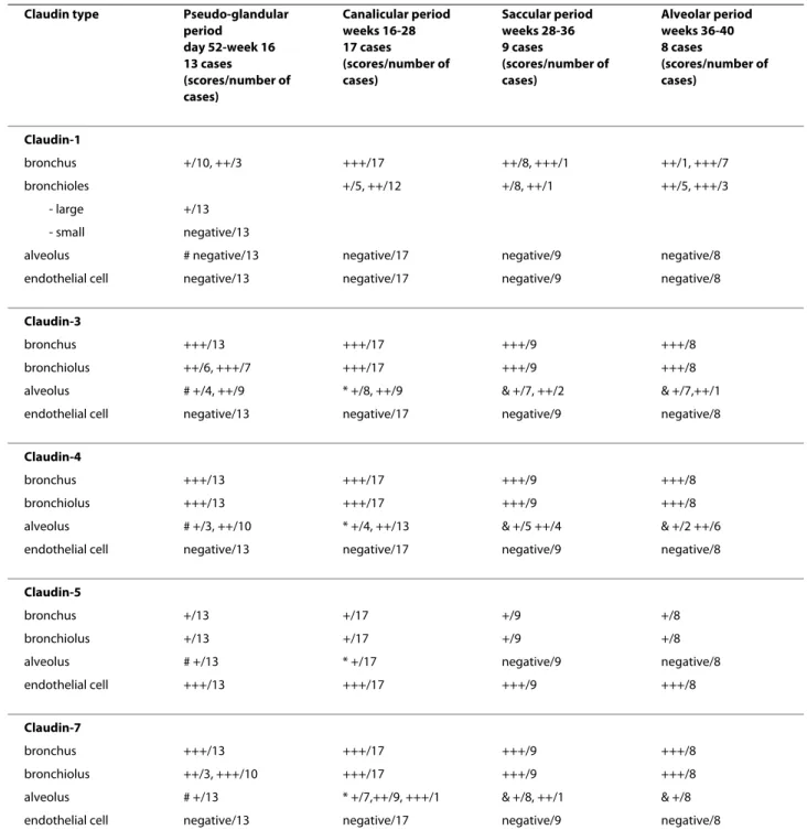 Table 2: Immunoreactivity scores for claudin-1, -3, -4, -5 and-7 in different types of pulmonary cells in developing human  lung during various gestational periods.