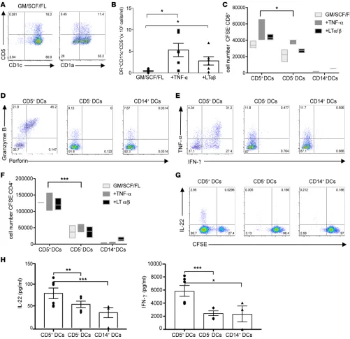 Figure 6. CD5 marks a functional terminally differentiated DC subset. (vitro DC subsets were cocultured with naive allogeneic CFSE-labeled T cells for 7 days (300 DCs: 1 × 10primed by each in vitro DC subsets