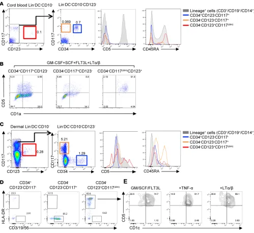 Figure 7. CD34–show the expression of CD5 and CD45RA on the different progenitor subsets