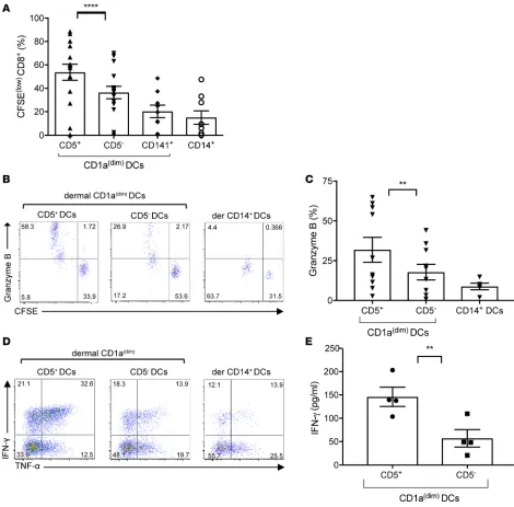 Figure 2. Dermal CD5+stained and analyzed by flow cytometry for the expression of granzyme B