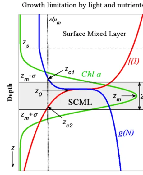 Figure 1. Schematic picture of Chltal solid lines indicate the locations of the upper and lower SCML,zloss rate to maximum growth rate,two compensation depths where a distribution under the limi-tation by light and nutrient in stratiﬁed water columns (green solidline is Chl a concentration as a function of depth; red solid line is thegrowth-limiting term with respect to light, f (I); blue solid line isthe growth-limiting term with respect to nutrients, g(N); horizontaldashed line represents the depth of surface mixed layer, zs; horizon-m − σ and zm + σ, respectively; vertical dotted line is the ratio of ε/µm; zc1 and zc2 refer to the µmg(N) = ε and µmf (I) = ε, re-spectively; z0 and zm indicate the depths of maximum in growthrates and in Chl a concentrations, respectively; and double arrowrepresents the thickness of the SCML, 2σ).