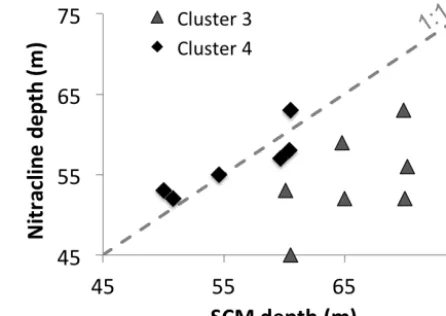 Figure 5. Relationship between the nitracline depth and the subsur-face chlorophyll a maximum (SCM) depth for samples of clusters 3(grey triangle) and 4 (black diamond)
