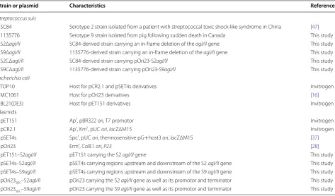 Table 1 Strains and plasmids used in the study