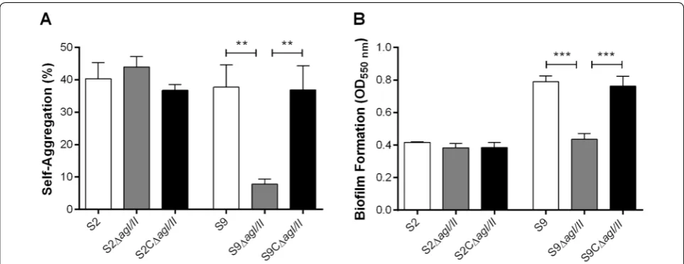 Figure 3 the presence of porcine fibrinogen (ments. **(IIformation.The S. suis serotype 9 (S9) AgI/II, but not that of the serotype 2 (S2), is implicated in bacterial self-aggregation and biofilm  The role of the S