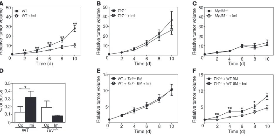 Figure 2TLR7/MyD88-dependent effects of Imi in the skin. (A–C) Mouse back skin was treated topically for 24 hours with Imi or left untreated