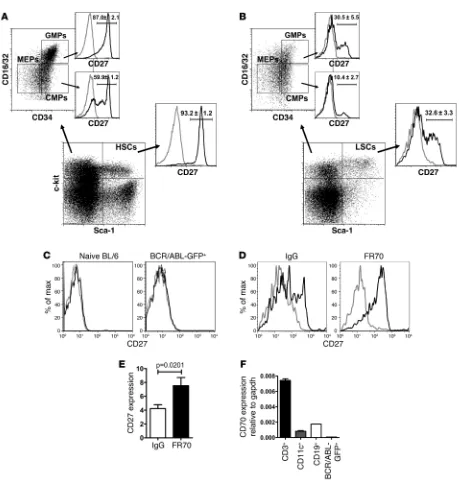 Figure 1CML stem and progenitor cells express CD27. (