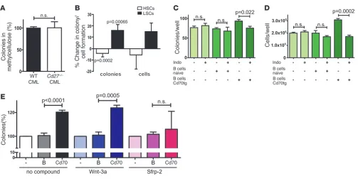 Figure 6CD27 signaling increases the colony formation of LSCs in a Wnt/β-catenin–dependent manner