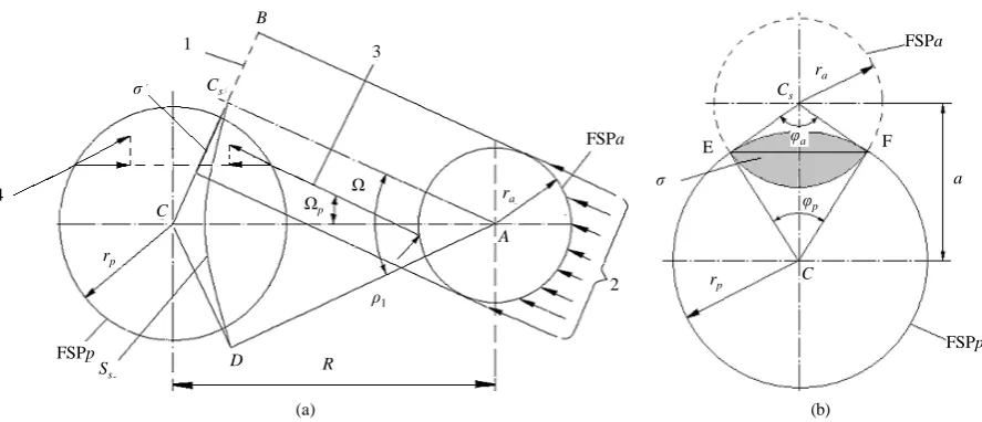 Figure 1. (a) Scheme for the calculation of the shadow force of gravity acting on the FSP.The passive FSPp is shadowed, from the right side, by the active FSPa from the flows of fations 2 directed within the limits of the solid angle element dΩ  of the sol