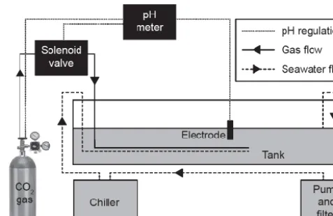 Figure 1Schematic of one OA simulation unit. Dashed lines indicate gas flow, solid lines indicate seawater flow, and dotted lines indicate electrical connections between components of pH regulation apparatus