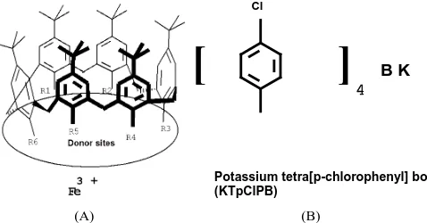 Figure 1. Structural formulas of: (A) 37-bis-[(diethoxy-thiophosphoryl)oxy]-5, 11,17,23,29,35-hexa-kis-(1,1-dimethylethyl)-calix[6]arene-38,39,40,41,42-pentol; (B) potassium tetrakis-[3,5-bis-(trifloro-methyl)-phenyl] borate