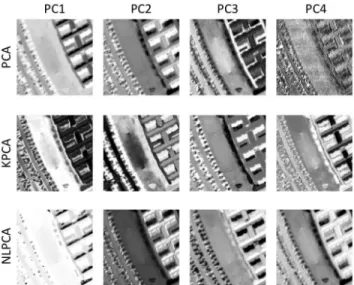 Fig. 3. ROSIS dataset: Detail on four principal components ob- ob-tained using PCA, KPCA and NLPCA, respectively.