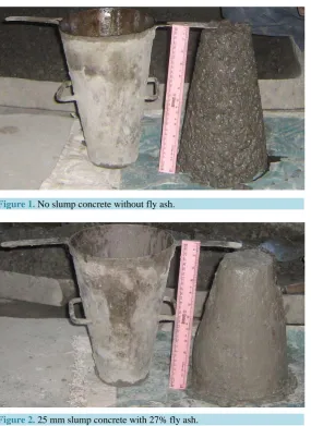 Figure 1. No slump concrete without fly ash.                                  