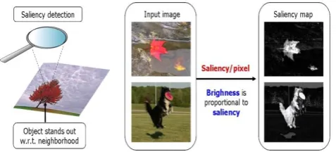 Fig -3: Frequency tuned salient region detection output. 