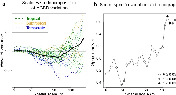 Figure 5. Scale-wise decomposition of spatial variation in AGBD and its relationship to elevation range.of AGBD as a function of spatial scale for individual plots (coloured lines) and for the ensemble average across plots (solid black line)