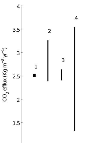 Figure 5. Proﬁles of pore space (1 − p), CO2 production rate and CO2 concentration after 20 kyr of soil development.