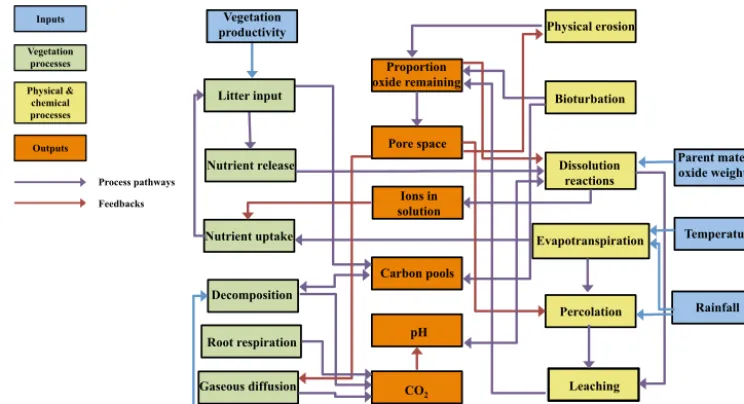 Figure 1. Diagram of the major processes, inputs and outputs of the soil proﬁle model.