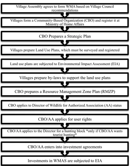 Figure 1 – Twelve steps to establish a WMA, simplified version (Adapted from Nelson, 2007) 