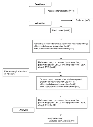 Figure 1 Consolidated Standards of Reporting Trials (CONSORT) 2010 flow diagram.Notes: The diagram graphically outlines the design and conduct of the clinical study.Abbreviations: DlCO, diffusing lung capacity for carbon monoxide; spO2, peripheral oxygen saturation; TTe, trans-thoracic echocardiography; Vas, visual analog scale.