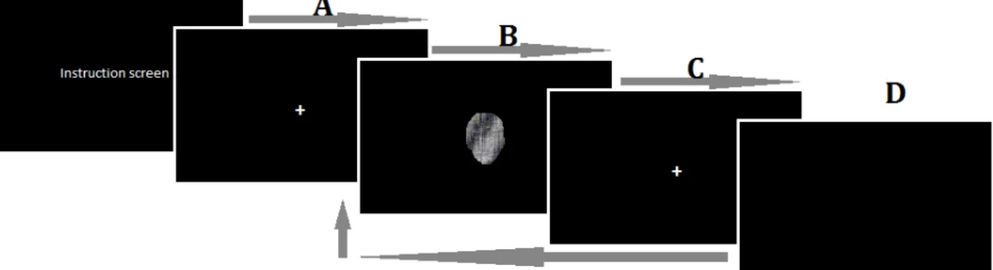 Figure 2. The sequence of screens that was shown to the participant. The instruction screen stayed until  a key was pressed