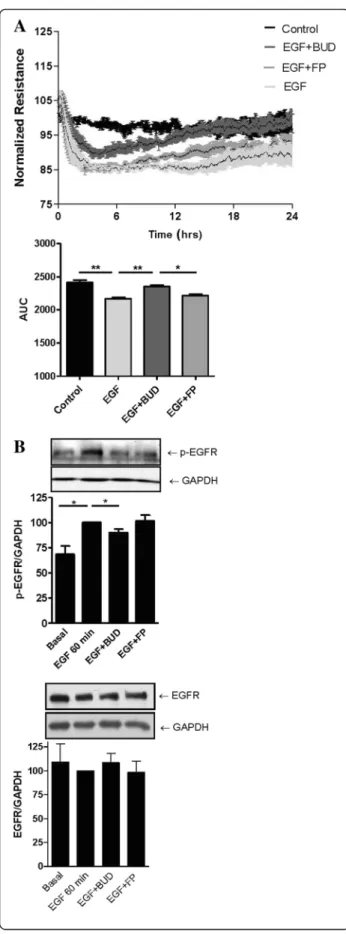 Fig. 4 Effect of equivalent concentrations of budesonide ( BUD) and fluticasone propionate ( FP) on EGF-induced barrier dysfunction and EGF activity in 16HBE cells