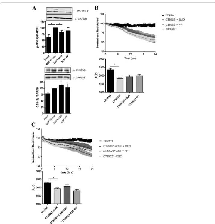 Fig. 5 Effect of equivalent concentrations of budesonide (BUD) and fluticasone propionate (FP) on GSK-3 β phosphorylation and epithelial barrier dysfunction upon pharmacological inhibition of GSK-3 β