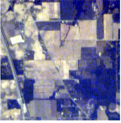 Figure 2. Hyperspectral image.                     