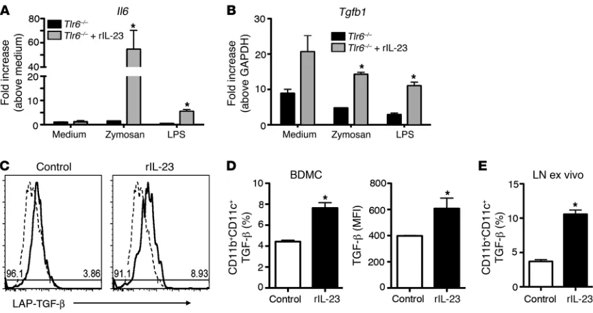 Figure 6rIL-23 increases TGF-β expression by DCs. Transcript expression for Il6 (A) and Tgfb1 (B) by BMDCs from allergic Tlr6–/– mice treated in vitro for 24 hours with rIL-23