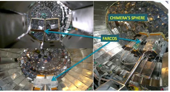 Figure 1: schematic view of a cluster of FARCOS