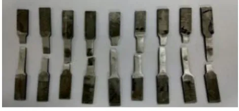 Fig. 6 Tensile specimen after the experiment 