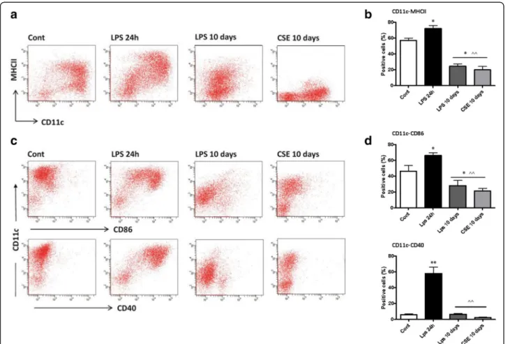 Fig. 3 Long-term continuous exposure to CSE suppresses the development of functional DCs from BM precursors