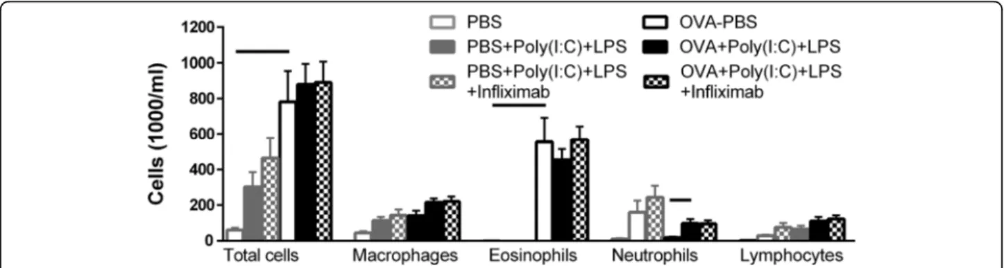 Fig. 4 Cellular composition in BALF after TNF α blockade on TLR3 and TLR4 stimulation