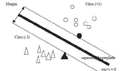 Fig-6 : SVM classification (the separating margin between the two classes)  