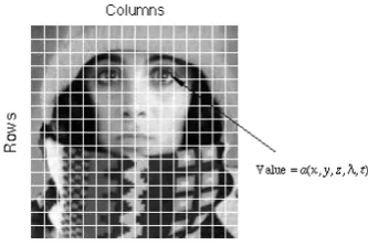 Figure 1.1  