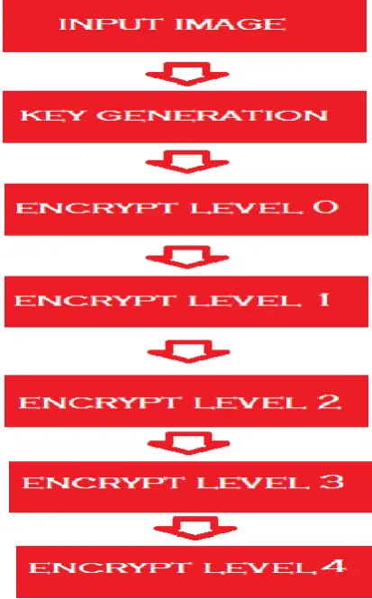 Figure 5. RGB Process 