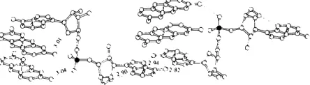 Fig. 1. A perspective view of two ApA-2proflavine complexes to illustrate the base pairing, hydrogen bonding and ring stacking