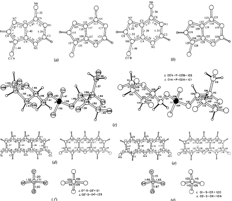 Fig. 3. Molecular nomenclature of the conformation angles. 