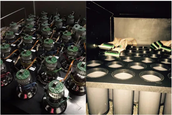 Figure 1. Left: PMTs on a tray ready to be tested; right: dark cylinders and cable extension connectors inside the