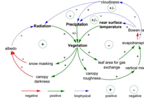 Figure 1. Diagram of climate–vegetation interaction feedback loopsthat comprise positive responses (green), negative responses (red)arising from vegetation change and consequent biogeophysicalfeedbacks to climate (blue).