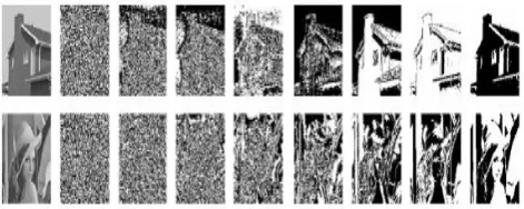 Figure 1: Sample images and their bit planes(left to right; input image; bp0,bp1,…..bp7) 