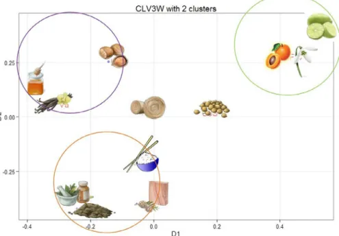 Fig. 4. Configuration of the products (i.e., product loadings) for the two-cluster CLV3W-NN solution for the coffee aromas data; the two axes D1 and D2 pertain to the two clusters.