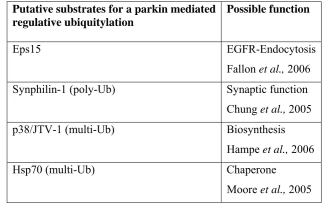 Table 4: Putative parkin substrates for a parkin-mediated regulatory ubiquitylation and their possible function